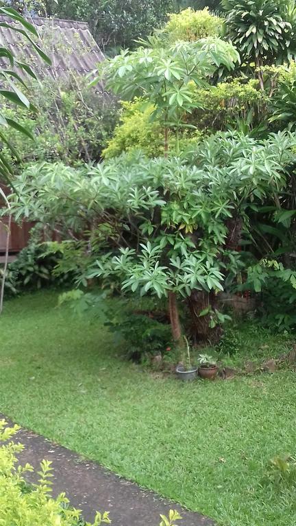 Ning Ning Guesthouse Muang Ngoi Ngoại thất bức ảnh